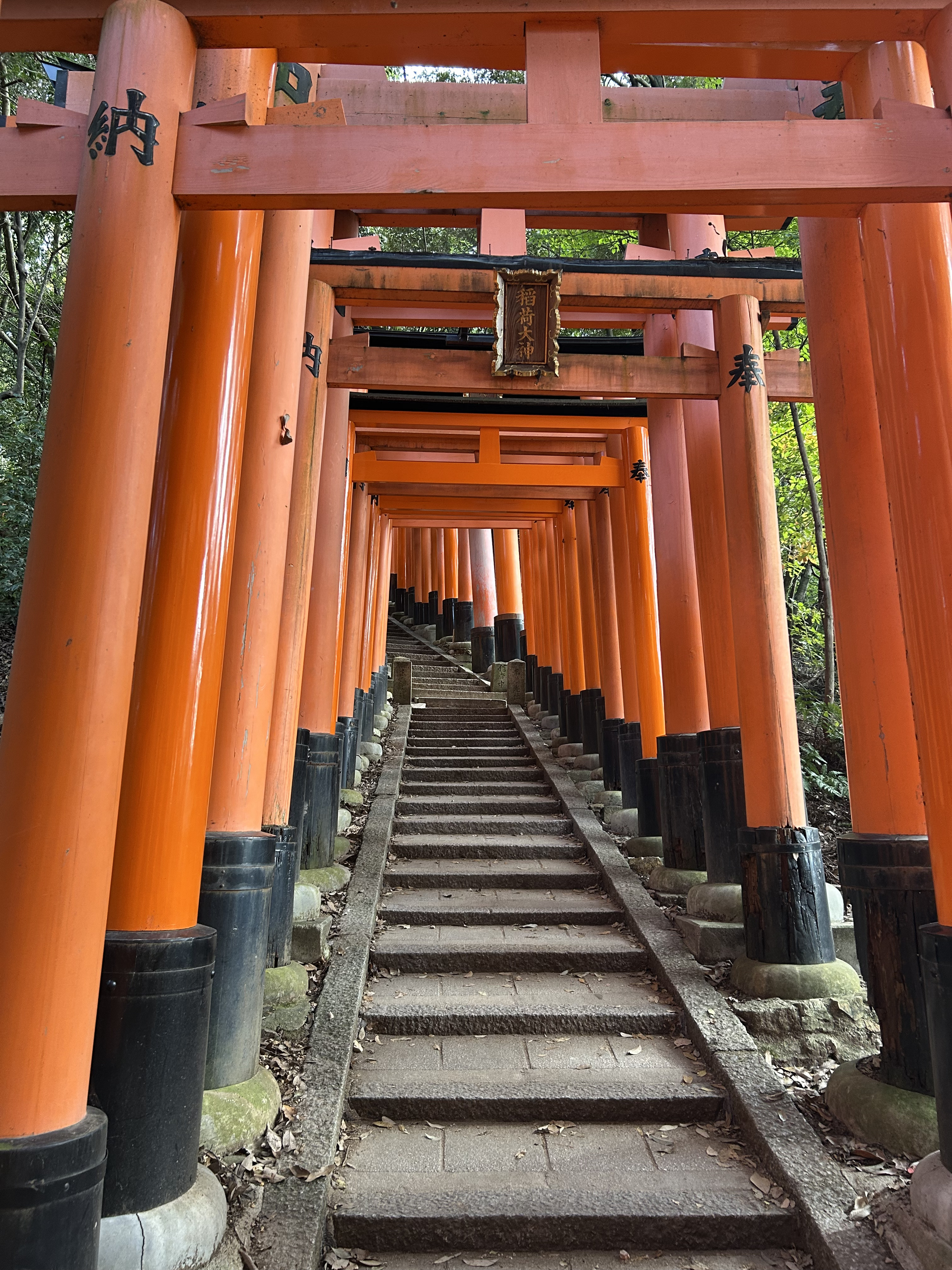 Inside temple in japan